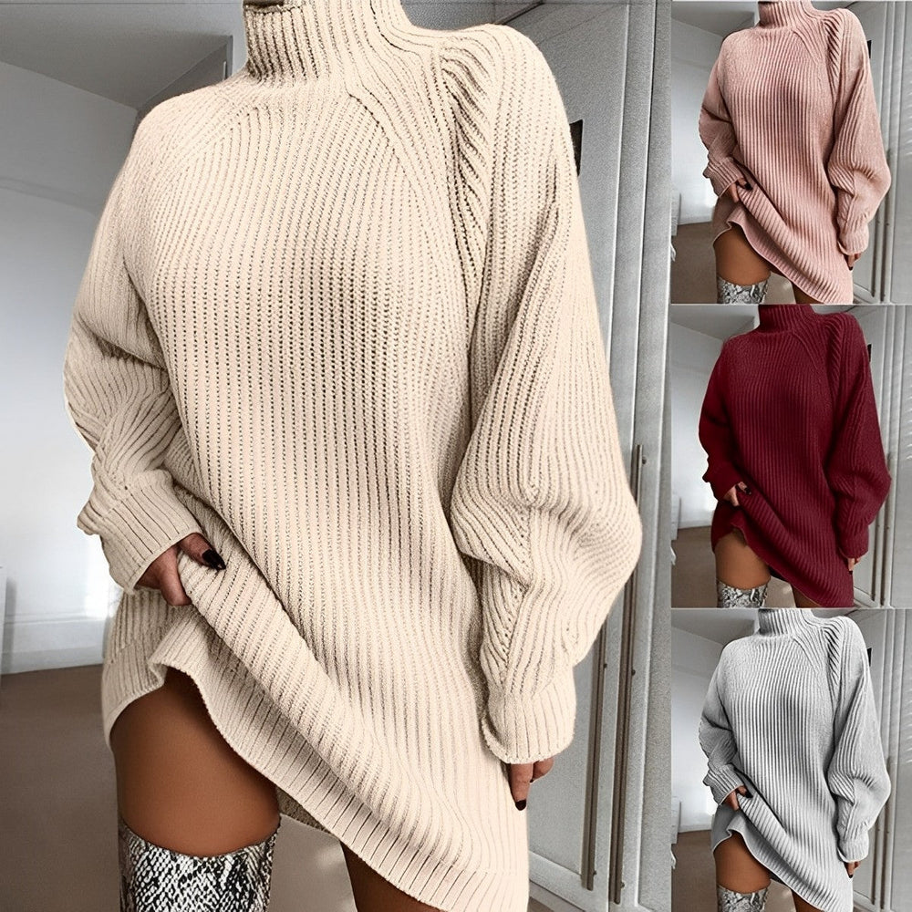 Quinn | Women's Roll Neck Jumper Dress Knitted