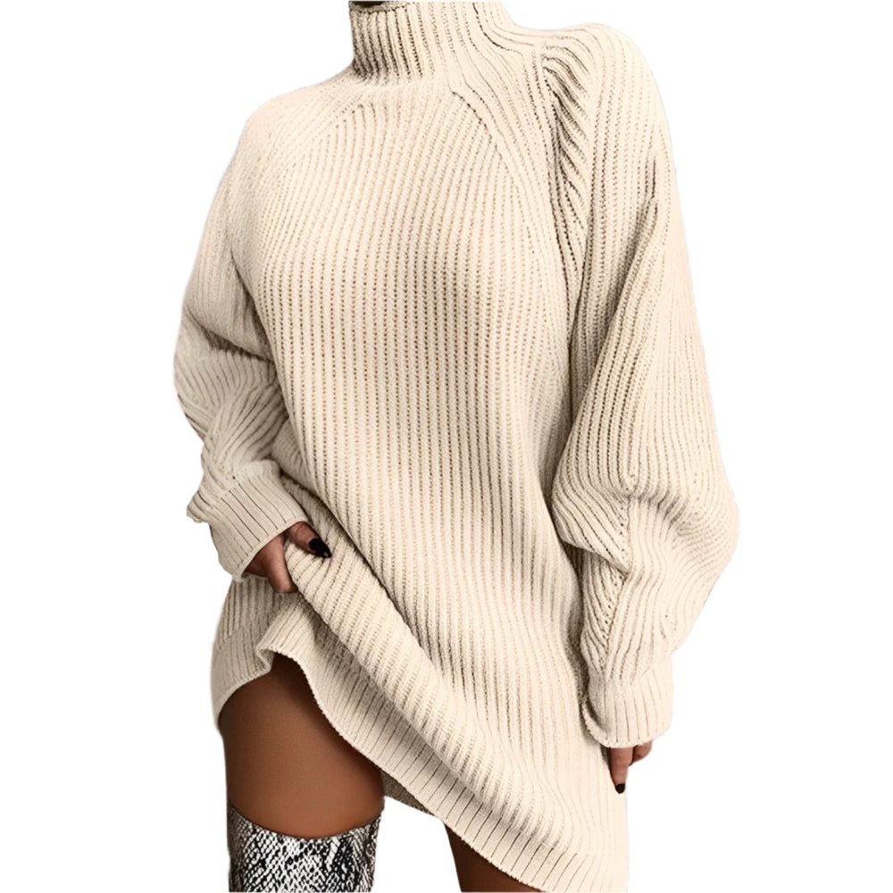 Quinn | Women's Roll Neck Jumper Dress Knitted