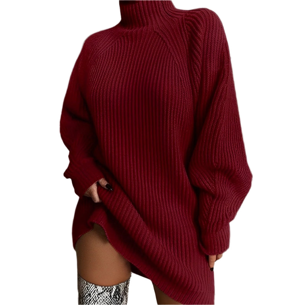 Quinn | Women's Roll Neck Jumper Dress Knitted
